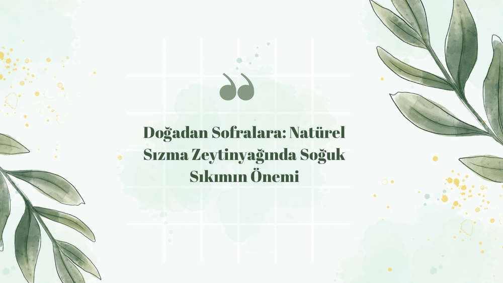 Doğadan Sofralara: Natürel Sızma Zeytinyağında Soğuk Sıkımın Önemi