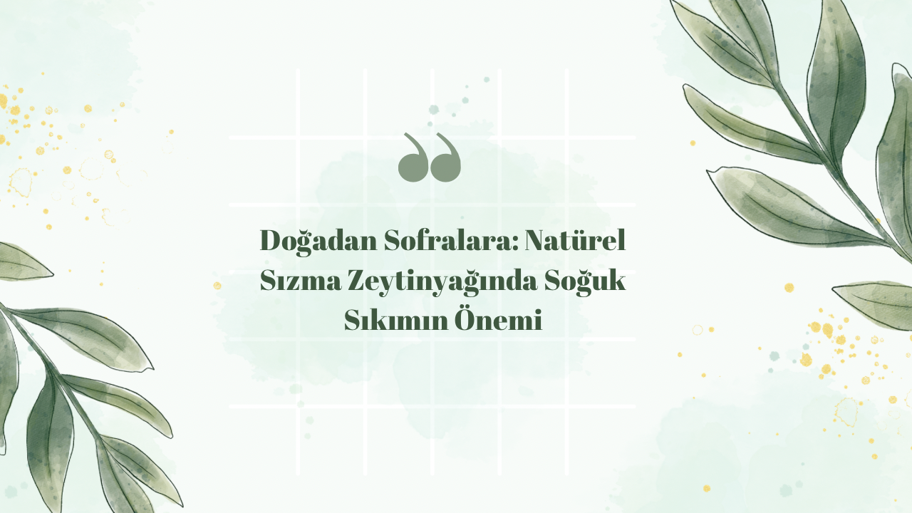 Doğadan Sofralara: Natürel Sızma Zeytinyağında Soğuk Sıkımın Önemi
