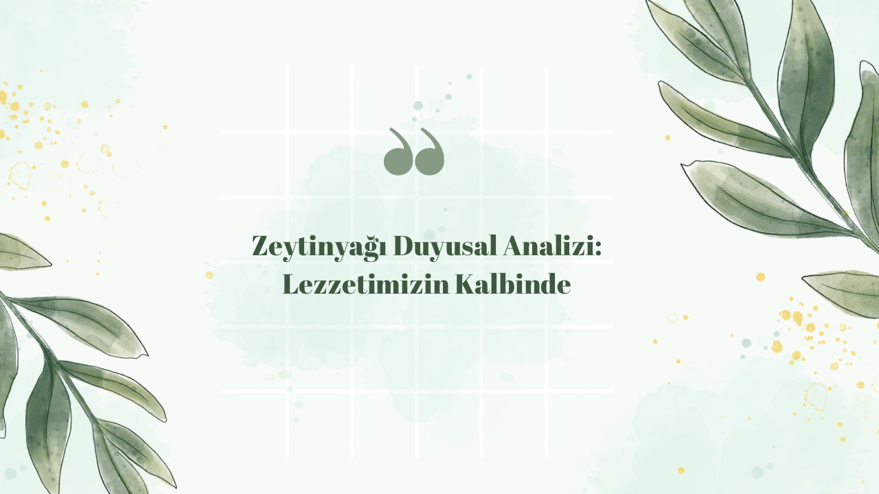 Zeytinyağı Duyusal Analizi: Lezzetimizin Kalbinde