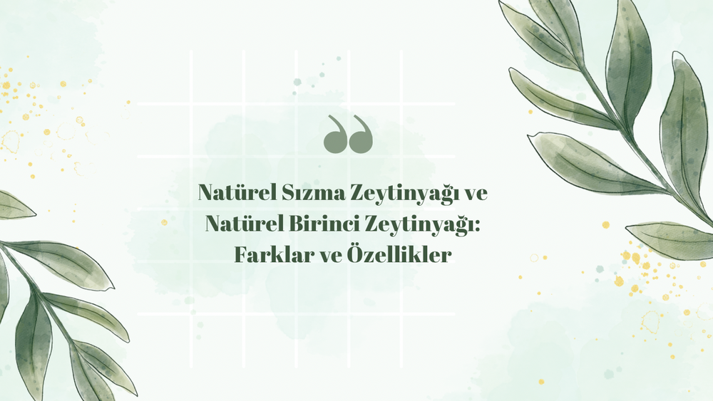 Natürel Sızma Zeytinyağı ve Natürel Birinci Zeytinyağı: Farklar ve Özellikler
