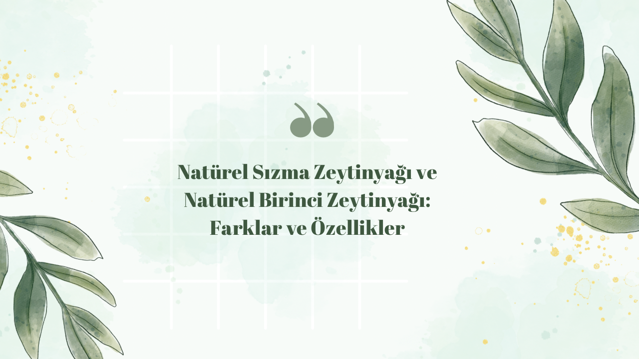 Natürel Sızma Zeytinyağı ve Natürel Birinci Zeytinyağı: Farklar ve Özellikler