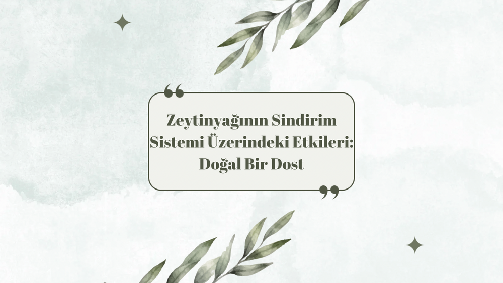 Zeytinyağının Sindirim Sistemi Üzerindeki Etkileri: Doğal Bir Dost