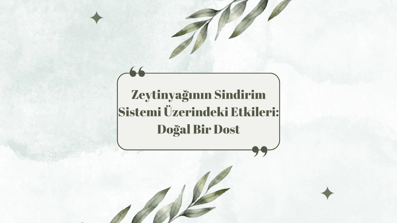 Zeytinyağının Sindirim Sistemi Üzerindeki Etkileri: Doğal Bir Dost
