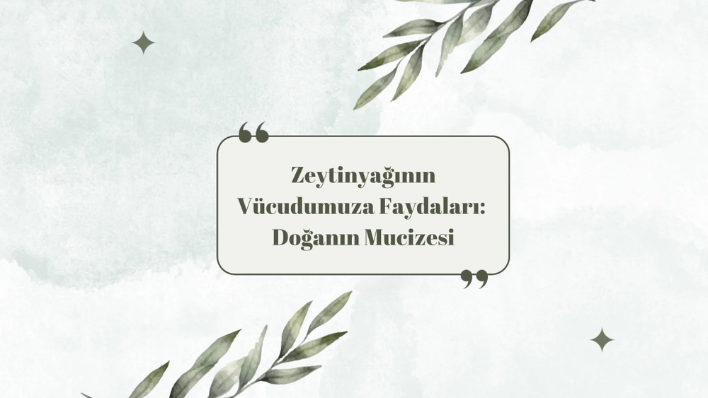 Zeytinyağının Vücudumuza Faydaları: Doğanın Mucizesi