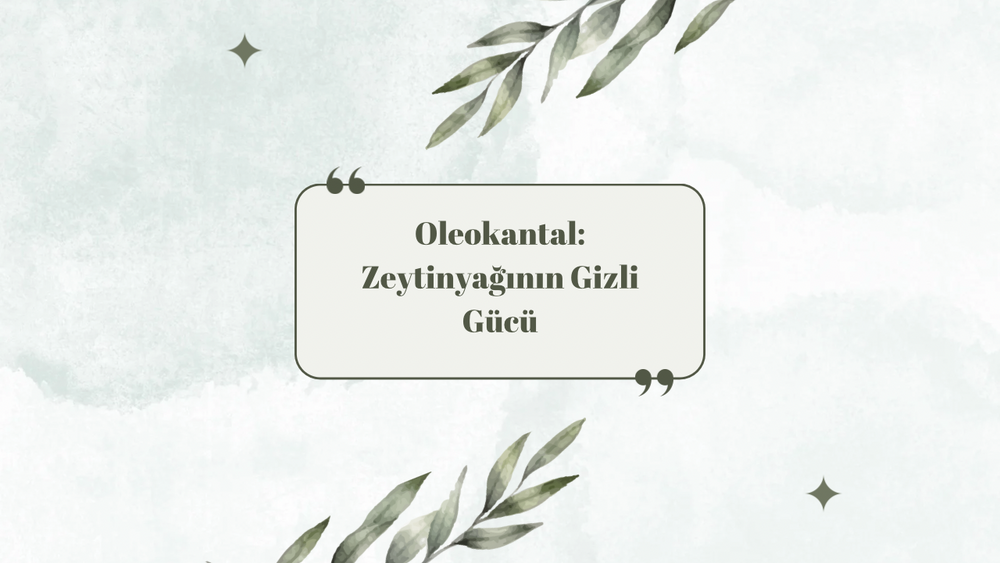 Oleokantal: Zeytinyağının Gizli Gücü