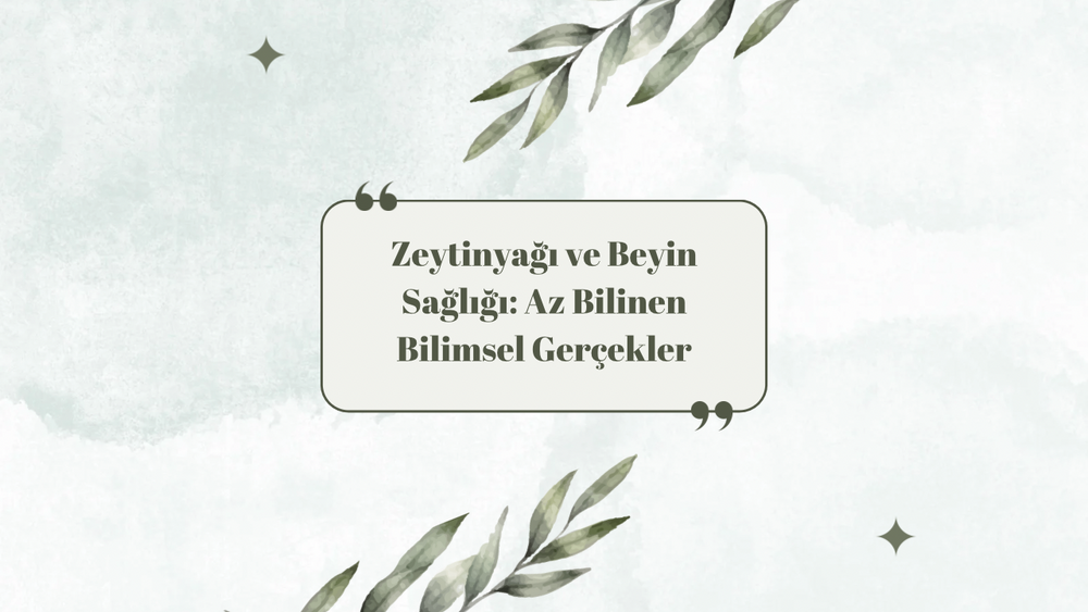 Zeytinyağı ve Beyin Sağlığı: Az Bilinen Bilimsel Gerçekler