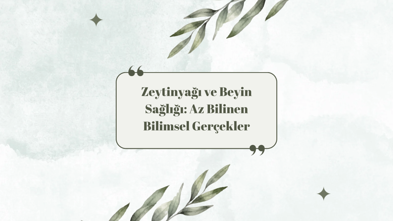 Zeytinyağı ve Beyin Sağlığı: Az Bilinen Bilimsel Gerçekler